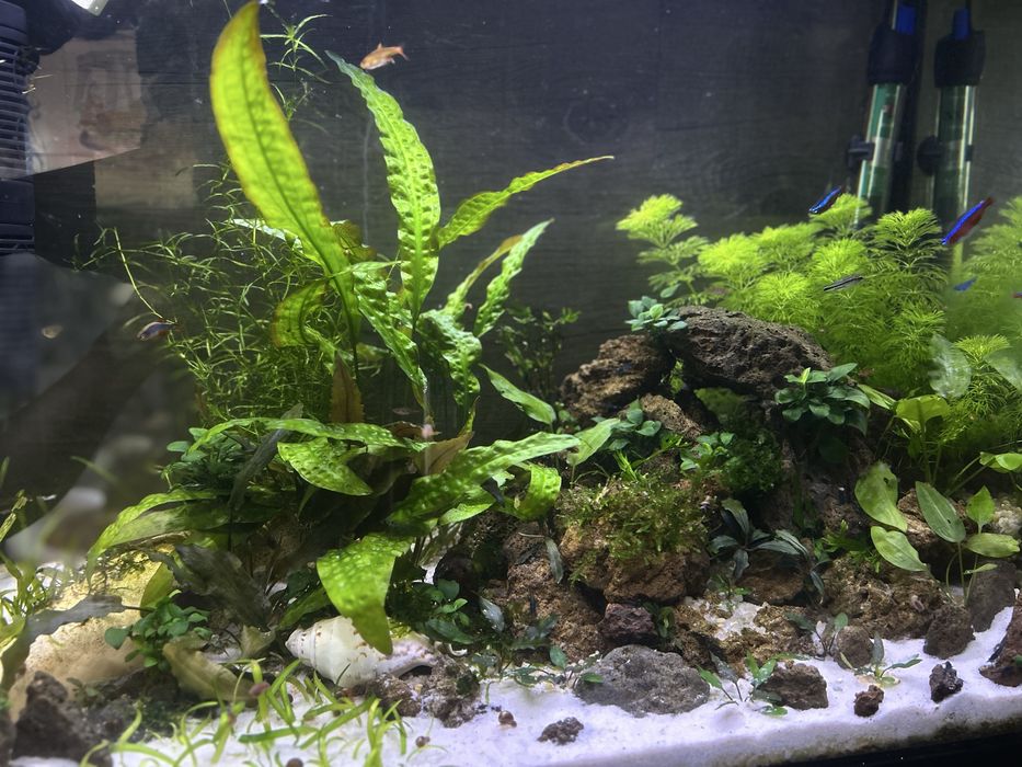 Areia de rio para aquario