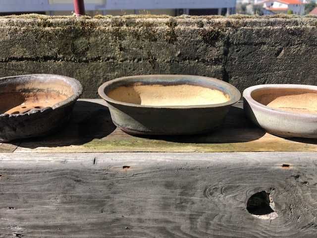 Conjunto de vasos de bonsai Erin Poterry