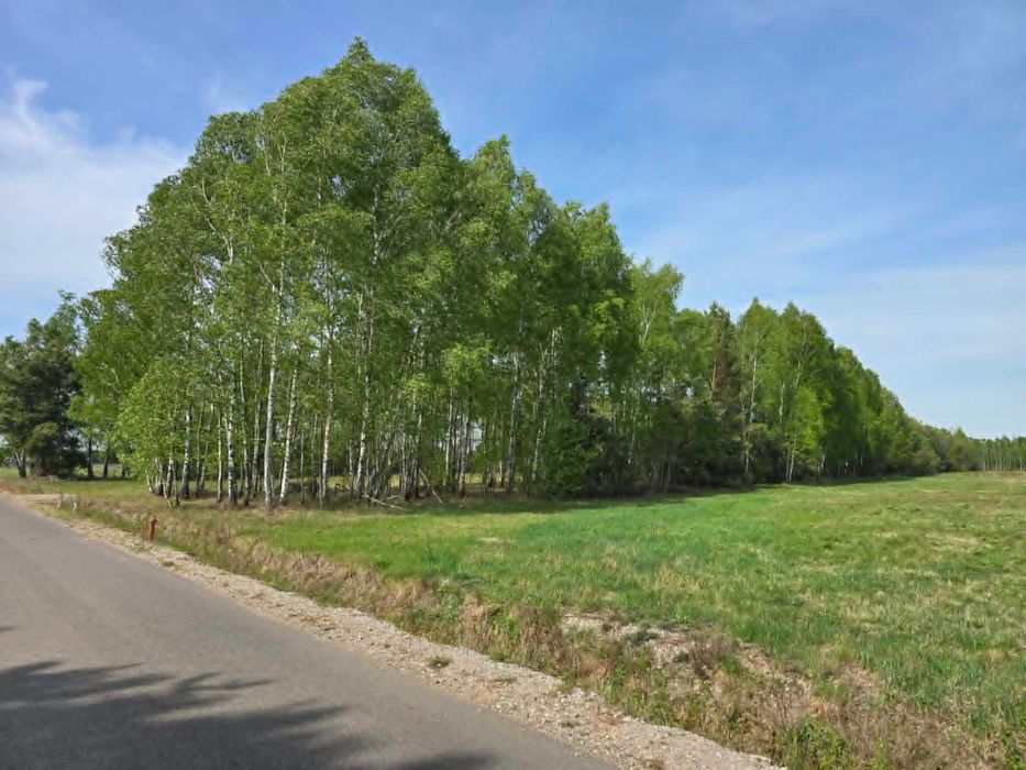 Działka z W.Z. 900 m² - Widok 4