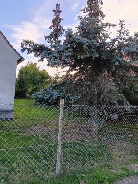 Zdjęcie 4