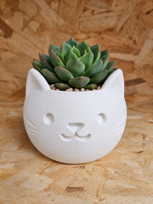 Vaso para Suculentas Catos "Cara de Gato" (Impressão 3D)