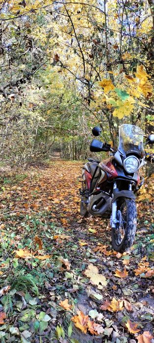 Honda Transalp XL 700 VA