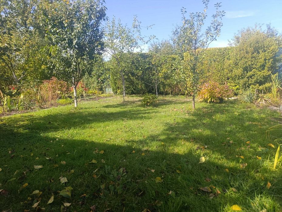 Ogródek działkowy ROD "Jutrzenka" 301 m² z murowaną altaną (prąd, woda) - Mysłowice - Widok 5