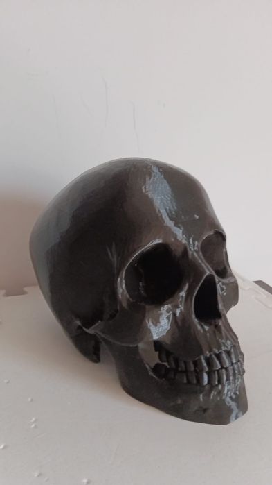 Caveira Decorativa Personalizada