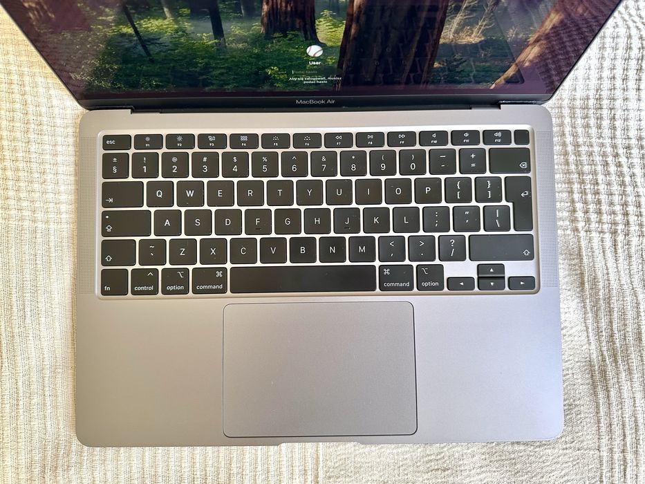 Apple MacBook Air 13” 2020 A2179 + Magic Mouse