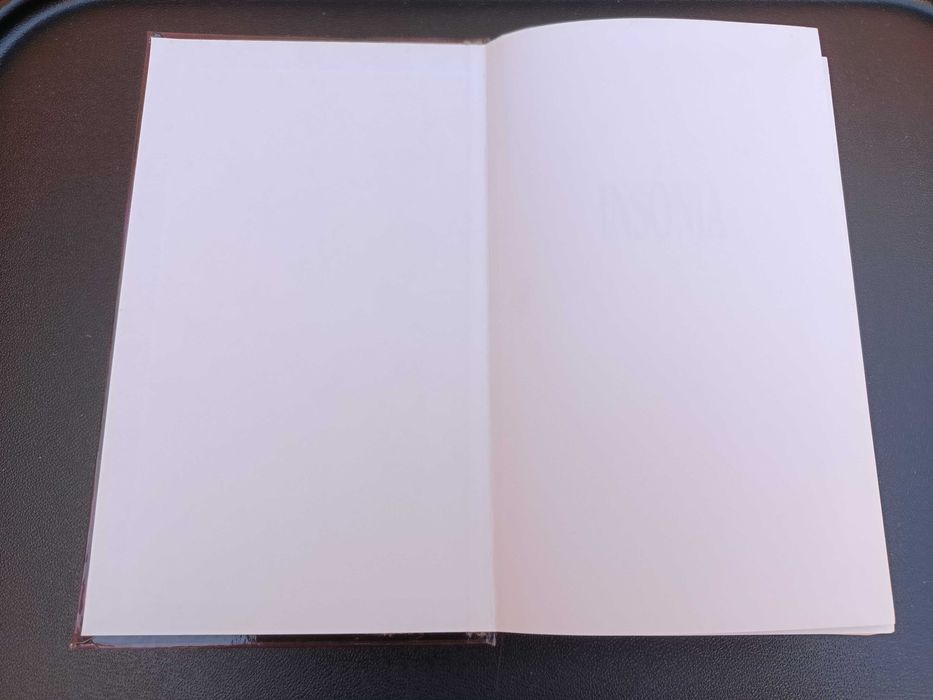 Livro "Insónia", Stephen King