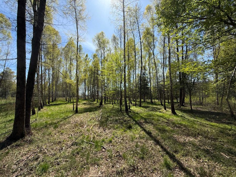 Rezydencja w lesie — działka budowlana w Rybnej | 1523 m² | gmina Mykanów - Widok 5