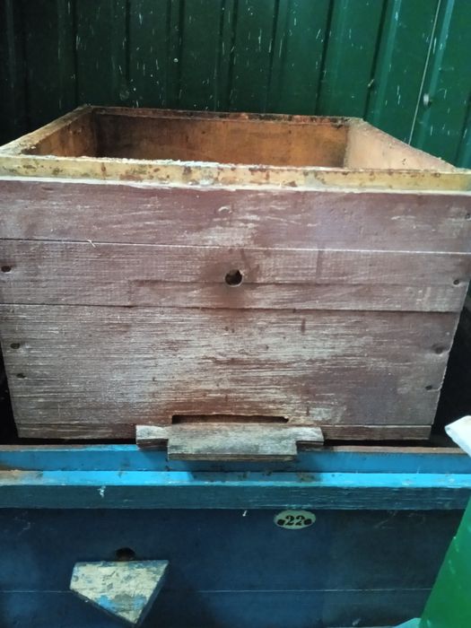 Вуликі дадан б,у