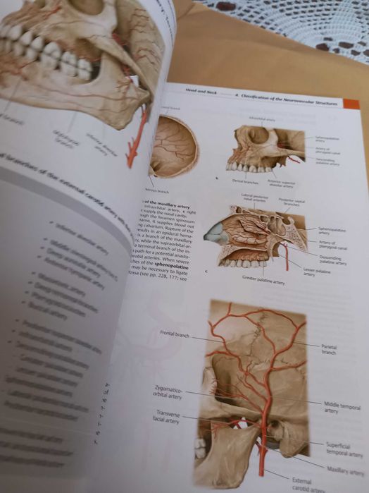 Atlas de anatomia