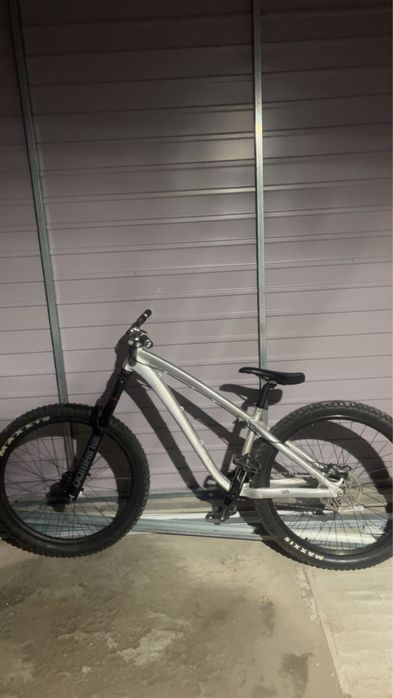 Dartmoor hornet 2020