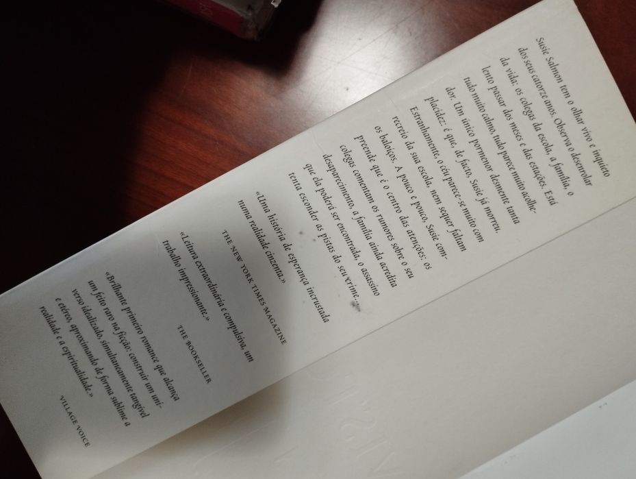 Visto do Céu de Alice Sebold