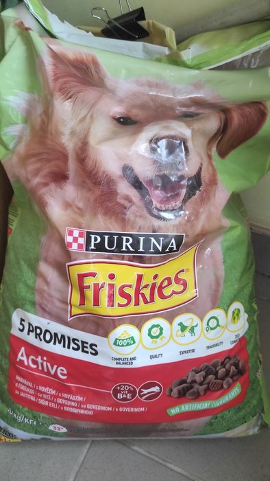 Собака в хороші руки