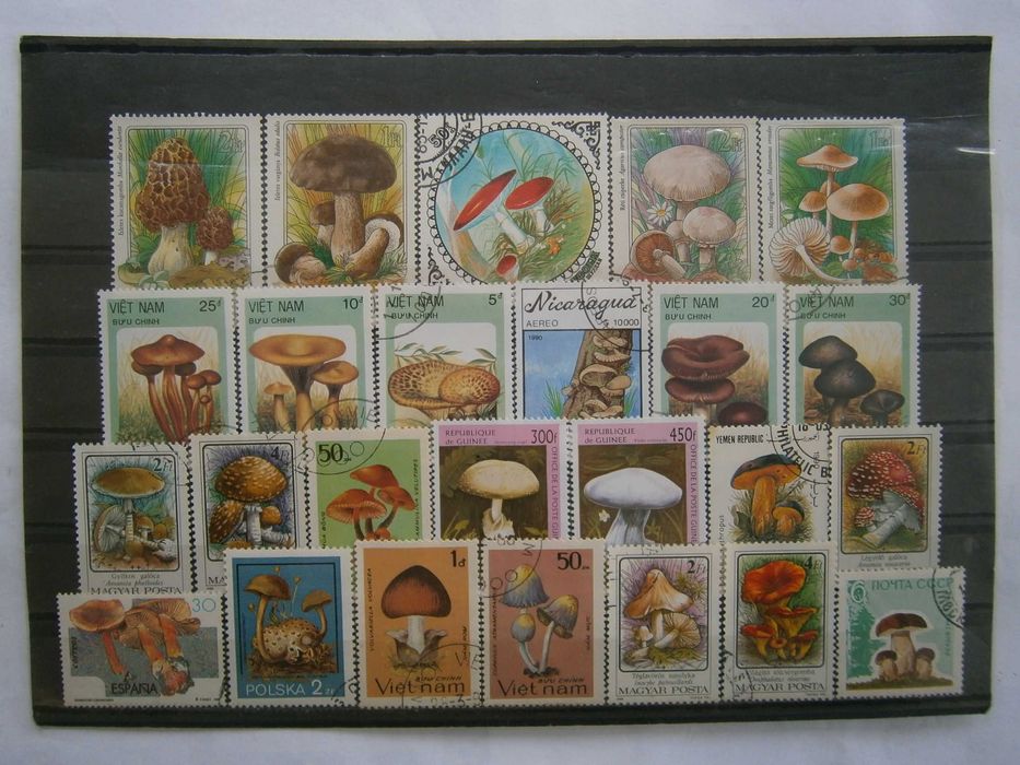 38 selos do tema Cogumelos todos diferentes