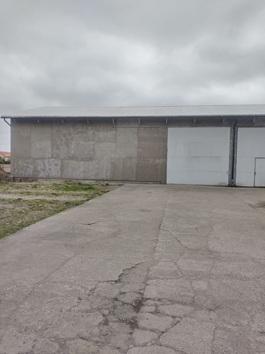 Magazyn do wynajęcia