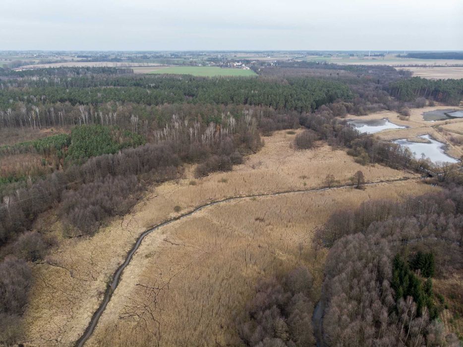 Siedlisko stare stawy 11,5 h - Widok 5