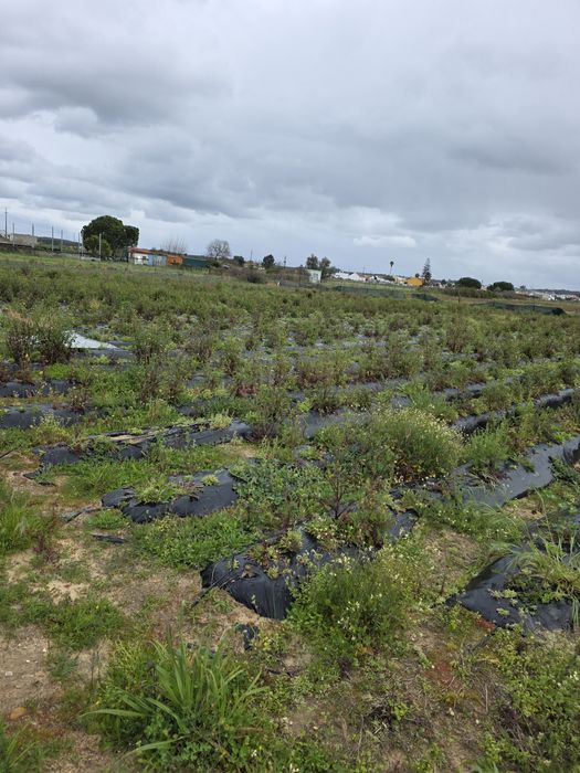 Terreno rustico com furo