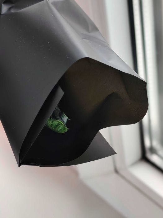 Стабілізована преміум-троянда 30 см х 5 см.