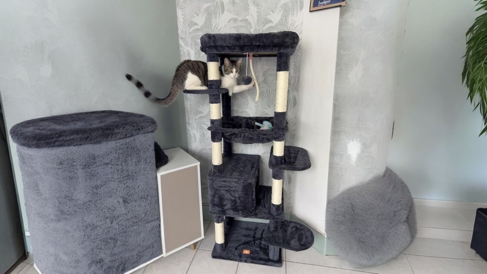 Drapak Dla Kota 6 Poziomów z Legowiskiem