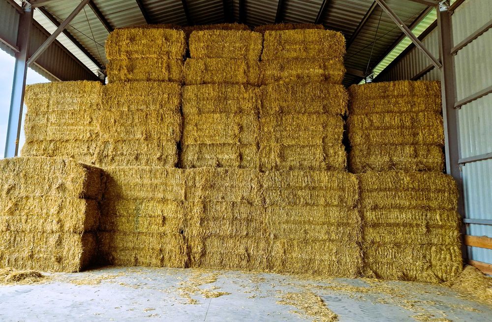 Sprzedam słomę kostki bele transport