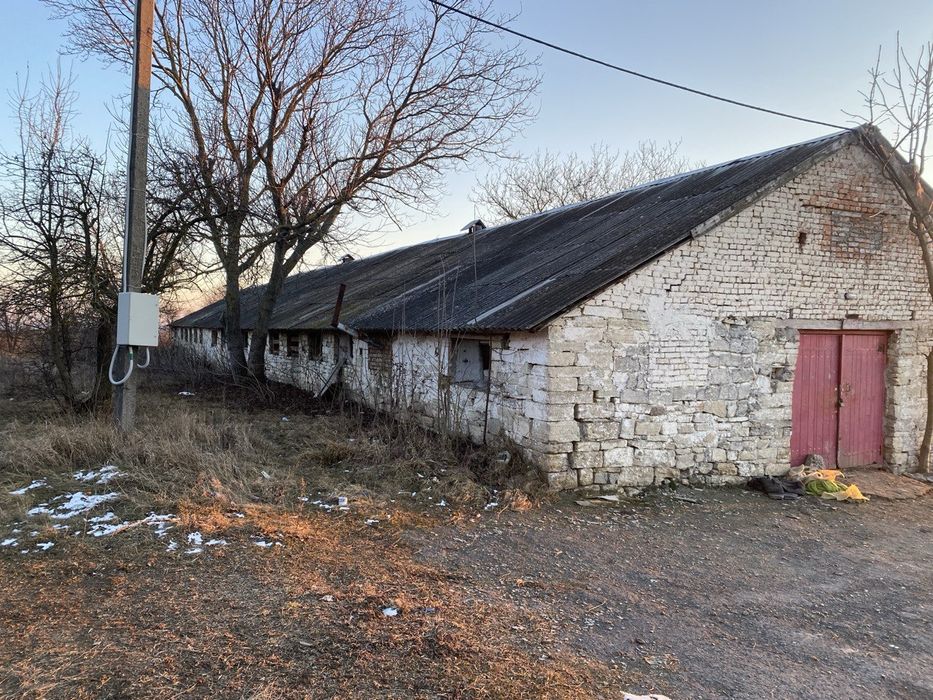 Оренда тваринницької ферми