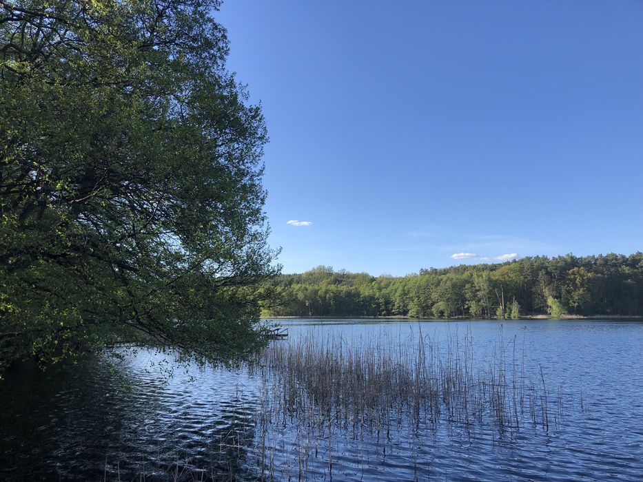 Kwatery pracownicze,agroturystyka