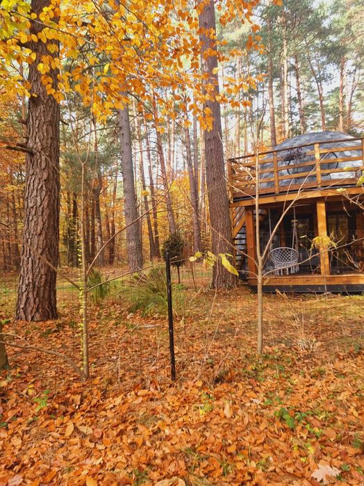Roztocze Domki romantyczny weekend domki na wynajem