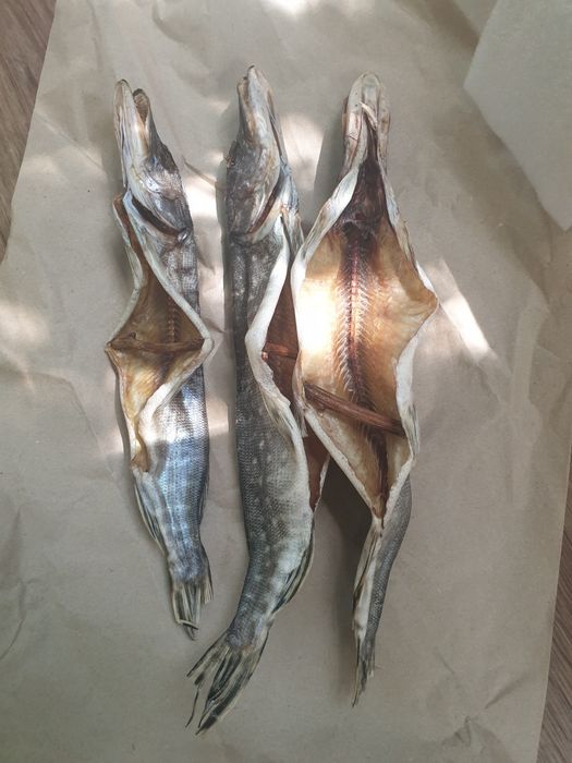 Ікра щуки  дикий вилов  Сушена ікра щучья икра