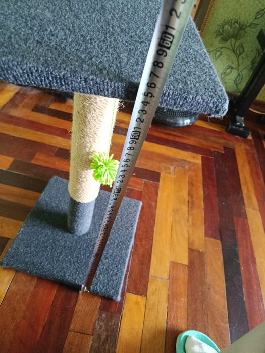 Котяча кігтьоточка когтеточка