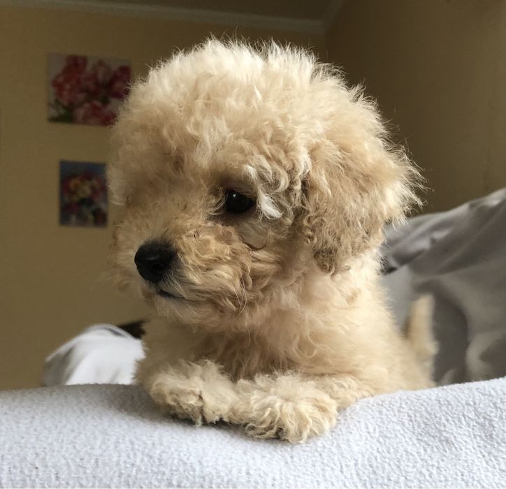 Маленький эксклюзивчик