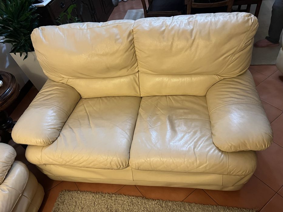 Dois Sofás em Pele