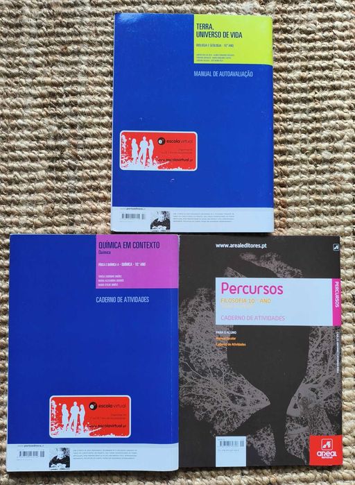 Livros 10º Ano - Várias disciplinas.