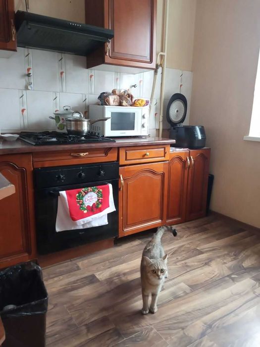 Котельникова, 2-к хорошая раздельная квартира, метро Святошино