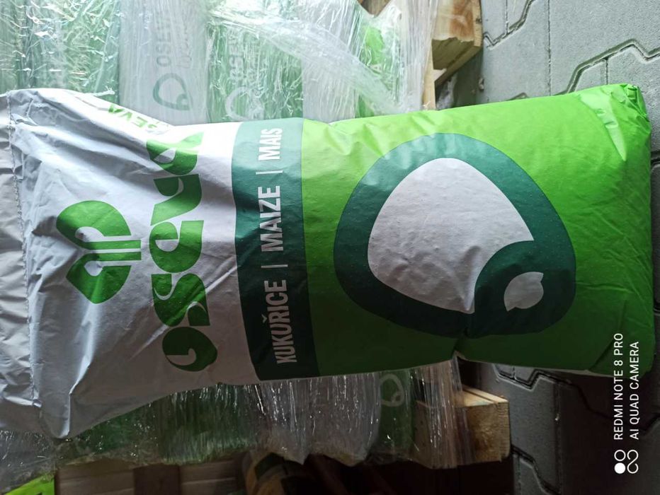 Oseva Kukurydza Pyroxenia CEWEL 150 fao kwalifikat