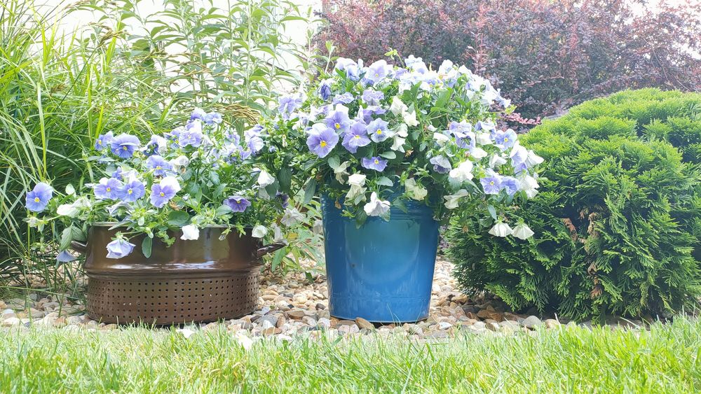 Zabytkowe emaliowane wiadra PRL, osłonki, doniczki