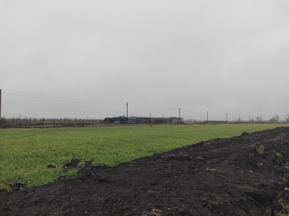 Земельна ділянка  5 соток, без комісії для покупців