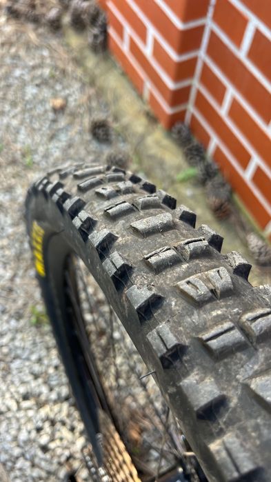 Rower Octane One Brapp