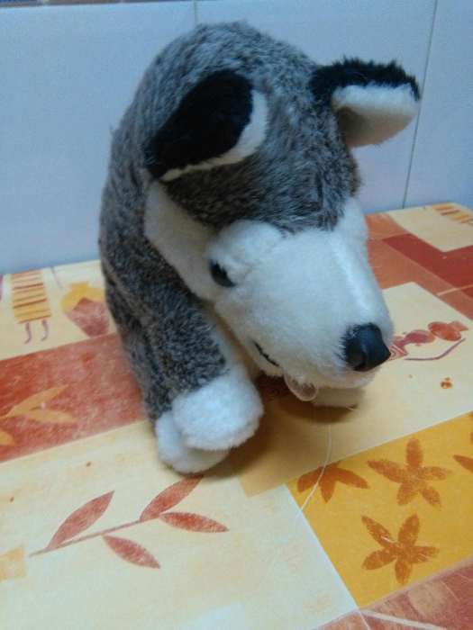 Peluches,coruja Carlota ,Ursa,Lobo e Cão São Bernardo.