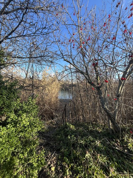 Перша лінія • Дніпро • Будинок для життя цілий рік