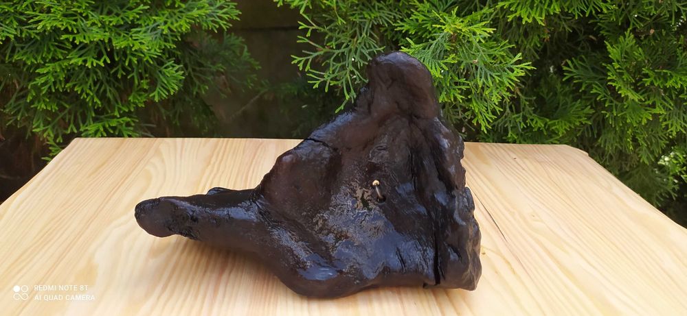 Korzeń do akwarium.