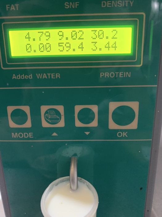 Продам охолоджене молоко екстракласу A2