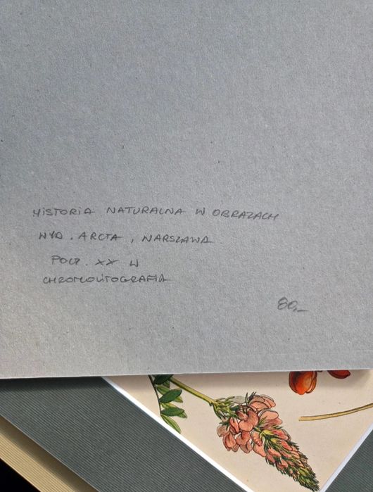 Litografia z początku XX wieku