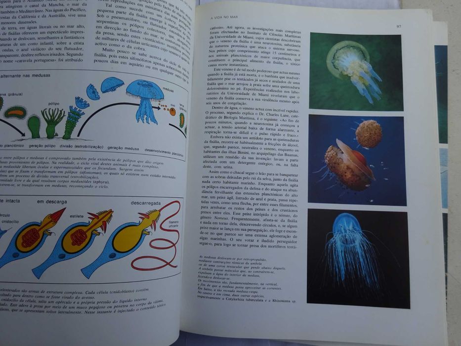 O Grande Livro dos Oceanos