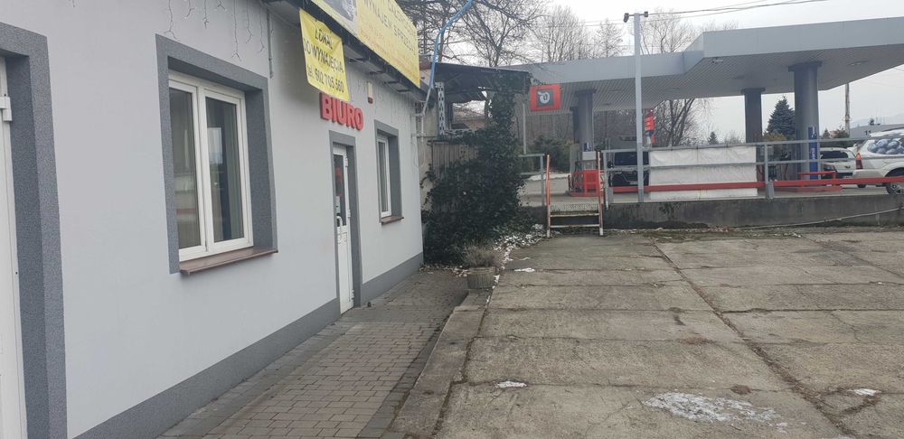 Lokal do wynajęcia