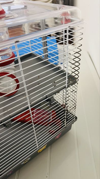 Gaiola para hamster