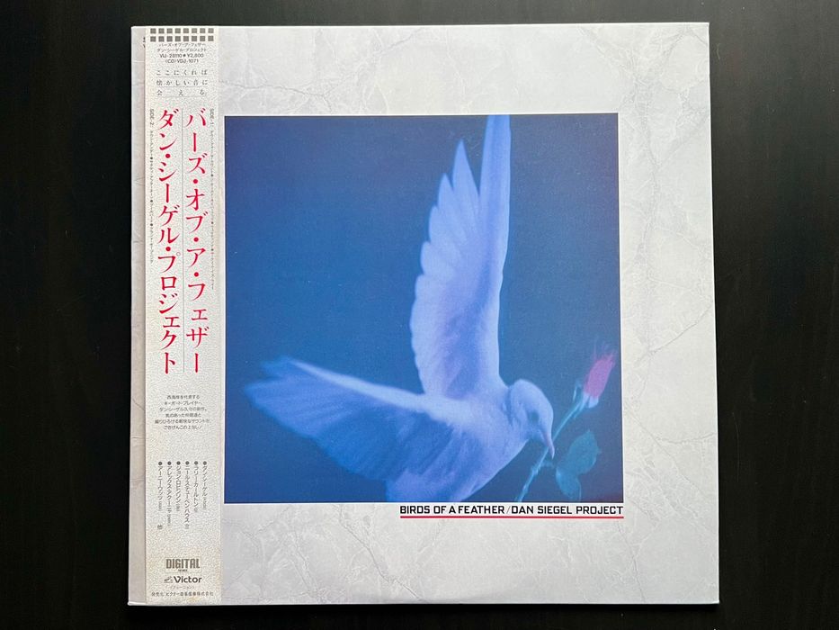LP Dan Siegel Project- Birds Of A Feather, 1987, Japan