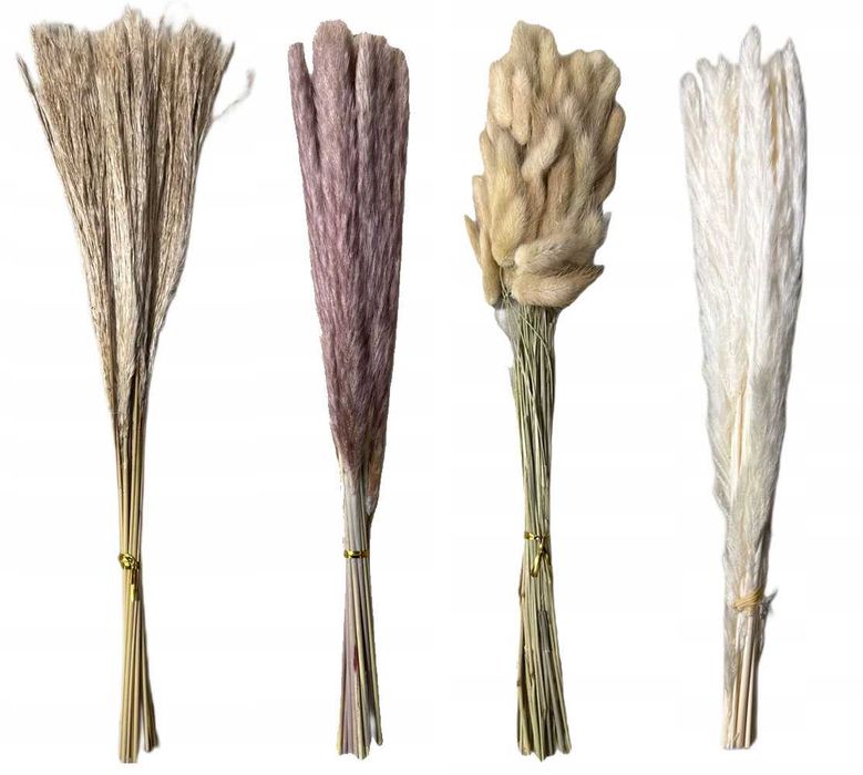 Набір 4 види пампасної трави