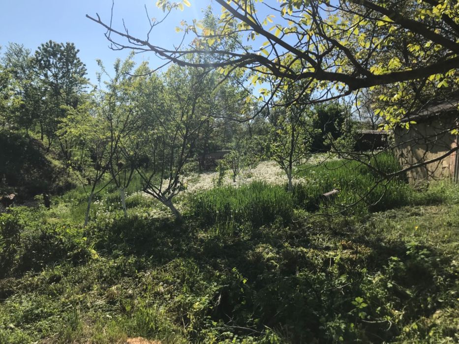 Продам дім із земельним участком