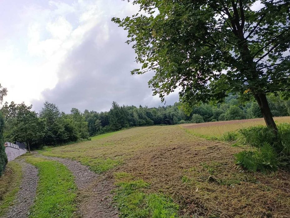 Działka Budowlana z Lasem