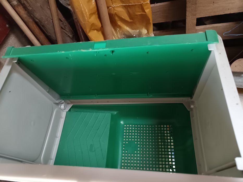 Maternidade para coelhos