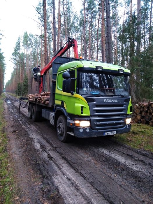 Transport Drewna Drzewa Opalu Miroslawiec Olx Pl